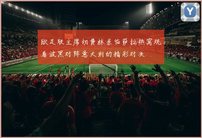 欧足联主席切费林亲临萨拉热窝观看波黑对阵意大利的精彩对决