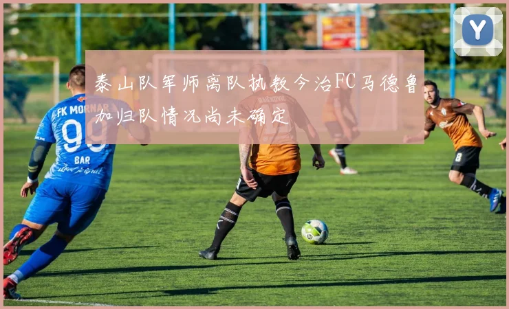 泰山队军师离队执教今治FC马德鲁加归队情况尚未确定